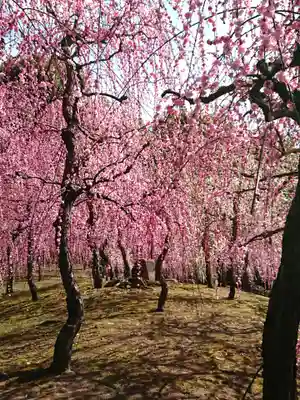 城南宮(京都府)