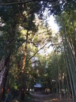 鹿島神社の自然