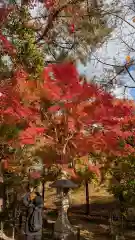 宇治上神社の自然