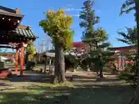 八幡神社(千葉県)