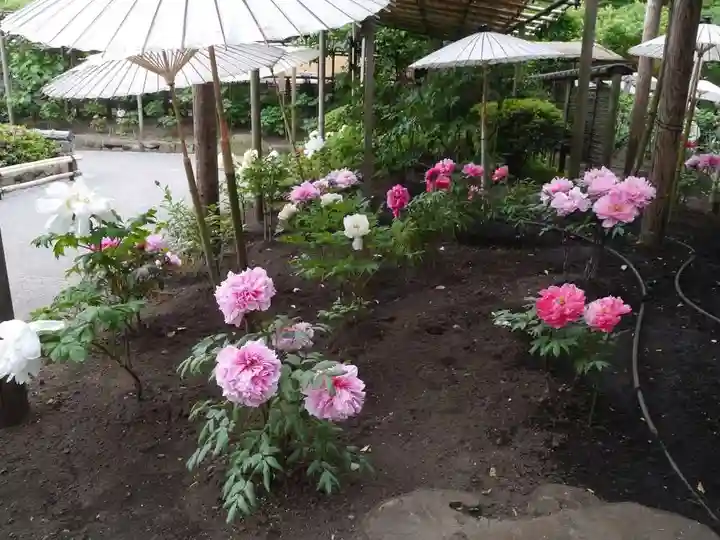 上野東照宮の庭園