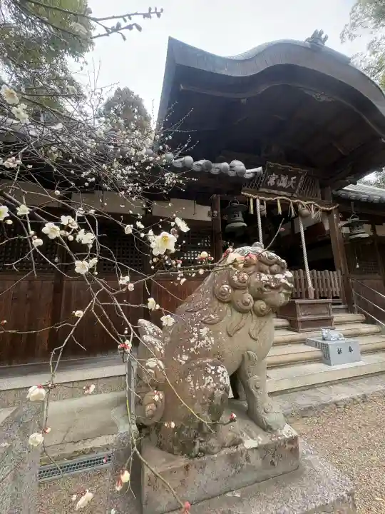 池坐朝霧黄幡比賣神社の{uncategorized: "未分類", other: "その他", undefined: "問題あり", building: "その他建物", grave: "お墓", sacred_gate: "鳥居", guardian: "狛犬", statue: "像", buddha: "仏像", history: "歴史", nature: "自然", garden: "庭園", animal: "動物", pagoda: "塔", temizu: "手水舎", mountain_gate: "山門・神門", sanctuary: "本殿・本堂", subordinate: "末社・摂社", art: "芸術", scenery: "景色", jizo: "地蔵", ema: "絵馬", goshuin: "御朱印", omikuji: "おみくじ", items: "授与品その他", amulet: "お守り", goshuincho: "御朱印帳", eats: "食事", festival: "お祭り", votive_dance: "神楽", shichigosan: "七五三参", wedding: "結婚式", experience: "体験その他", initially: "初詣", around: "周辺", anti_infection: "感染症対策"}