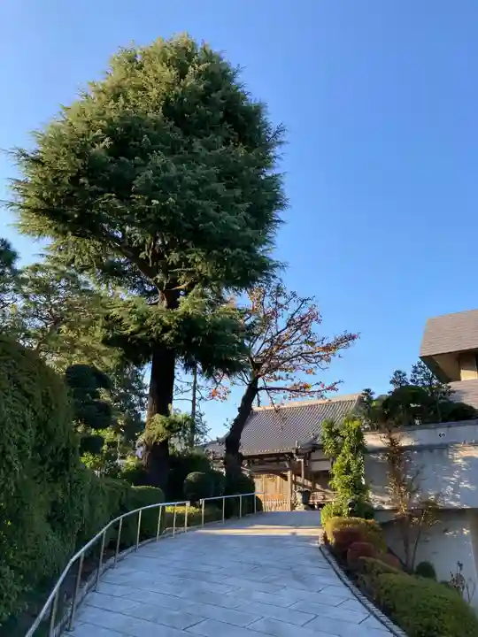 東円寺のその他建物