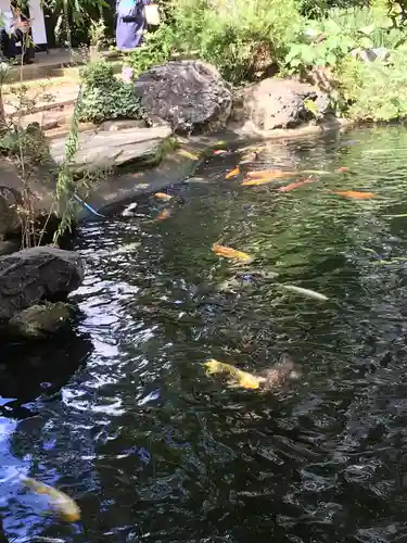 愛宕神社の庭園