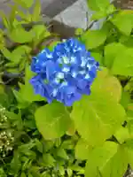 光林寺(岩手県)