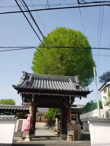 禅定院の山門