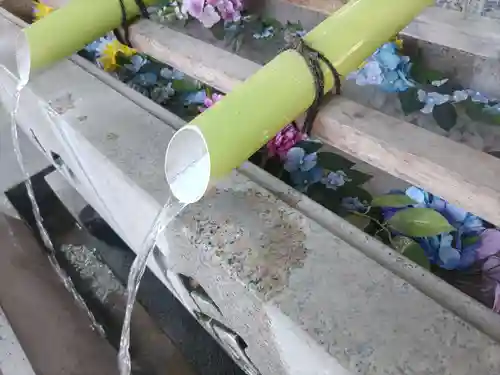 伊勢崎神社(群馬県)