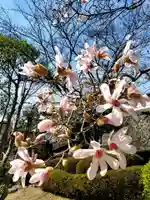 如宝寺(福島県)