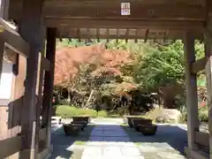 覚園寺の庭園