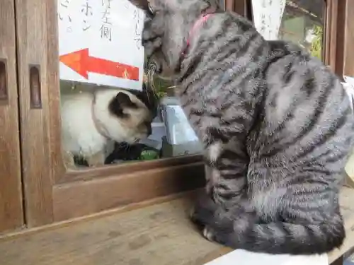 梅宮大社(京都府)