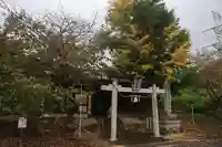 大六天麻王神社の鳥居