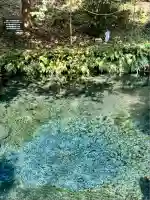 白川吉見神社(熊本県)