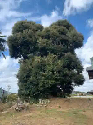 六所大神(千葉県)