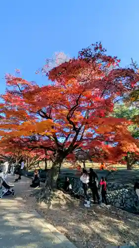夫婦大國社（春日大社末社）(奈良県)