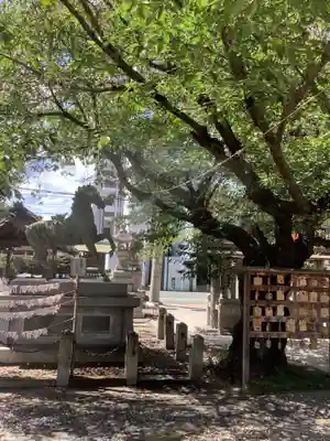 鹽竃神社の狛犬