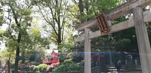 根津神社の鳥居