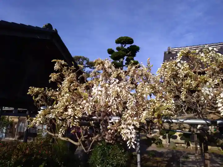 倶梨迦羅神社の自然