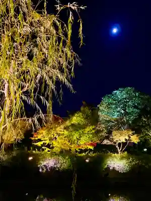 東寺（教王護国寺）(京都府)