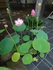 能満寺(神奈川県)