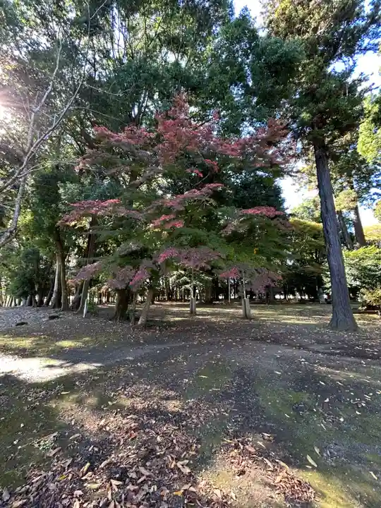 東蕗田天満社(茨城県)