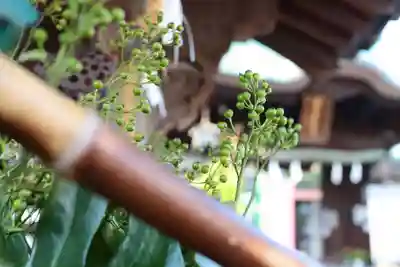 三津厳島神社(愛媛県)