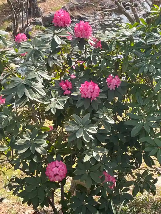 大生郷天満宮(茨城県)