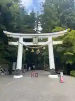宝登山神社(埼玉県)