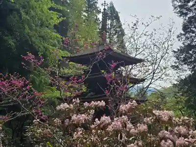 室生寺奥の院(奈良県)