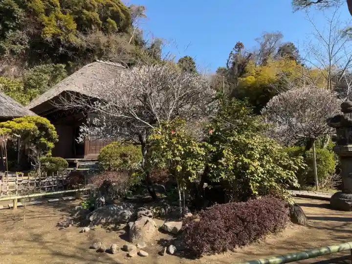 明王院の{uncategorized: "未分類", other: "その他", undefined: "問題あり", building: "その他建物", grave: "お墓", sacred_gate: "鳥居", guardian: "狛犬", statue: "像", buddha: "仏像", history: "歴史", nature: "自然", garden: "庭園", animal: "動物", pagoda: "塔", temizu: "手水舎", mountain_gate: "山門・神門", sanctuary: "本殿・本堂", subordinate: "末社・摂社", art: "芸術", scenery: "景色", jizo: "地蔵", ema: "絵馬", goshuin: "御朱印", omikuji: "おみくじ", items: "授与品その他", amulet: "お守り", goshuincho: "御朱印帳", eats: "食事", festival: "お祭り", votive_dance: "神楽", shichigosan: "七五三参", wedding: "結婚式", experience: "体験その他", initially: "初詣", around: "周辺", anti_infection: "感染症対策"}