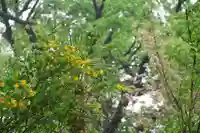 阿久津「田村神社」(郡山市阿久津町)旧社名:伊豆箱根三嶋三社の自然