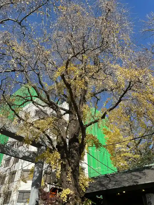 波除神社(波除稲荷神社)の自然