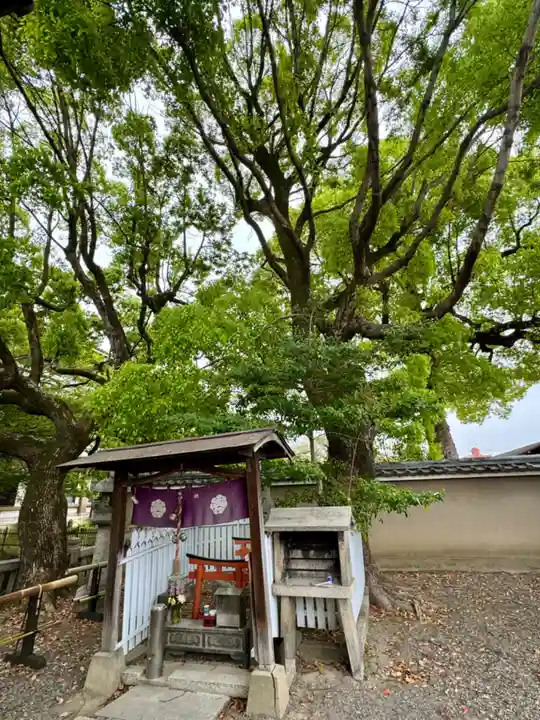 東寺(教王護国寺)(京都府)