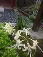 大巧寺のその他建物