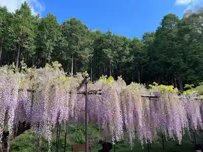 天台宗 五大山 白毫寺(兵庫県)