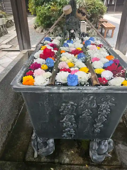 柳谷観音 楊谷寺の{uncategorized: "未分類", other: "その他", undefined: "問題あり", building: "その他建物", grave: "お墓", sacred_gate: "鳥居", guardian: "狛犬", statue: "像", buddha: "仏像", history: "歴史", nature: "自然", garden: "庭園", animal: "動物", pagoda: "塔", temizu: "手水舎", mountain_gate: "山門・神門", sanctuary: "本殿・本堂", subordinate: "末社・摂社", art: "芸術", scenery: "景色", jizo: "地蔵", ema: "絵馬", goshuin: "御朱印", omikuji: "おみくじ", items: "授与品その他", amulet: "お守り", goshuincho: "御朱印帳", eats: "食事", festival: "お祭り", votive_dance: "神楽", shichigosan: "七五三参", wedding: "結婚式", experience: "体験その他", initially: "初詣", around: "周辺", anti_infection: "感染症対策"}