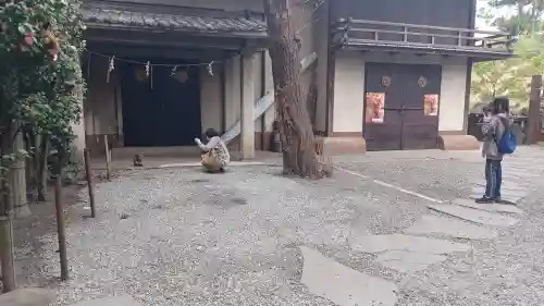 小野照崎神社(東京都)
