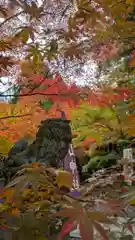 鍬山神社(京都府)