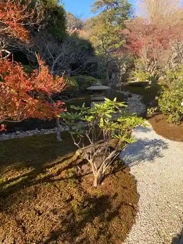 浄妙寺の庭園