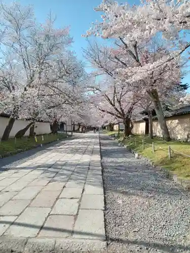 醍醐寺(京都府)