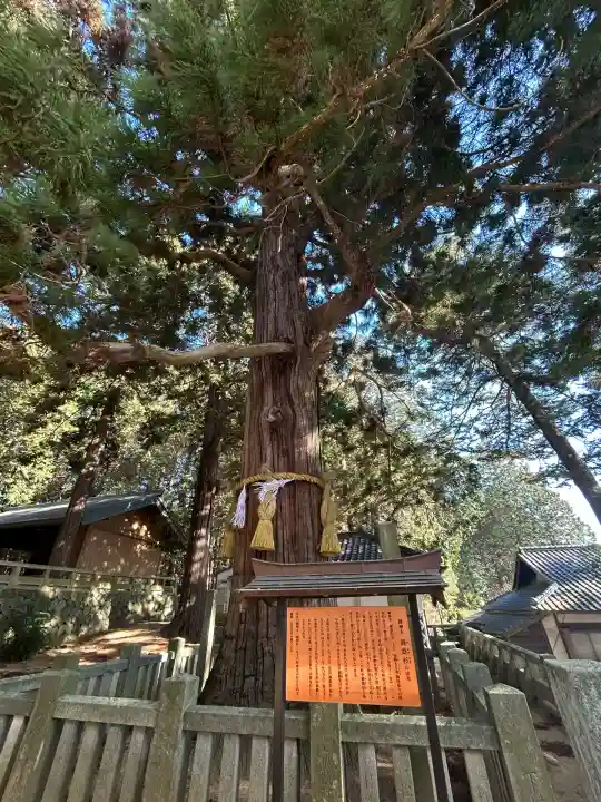 大御食神社(長野県)