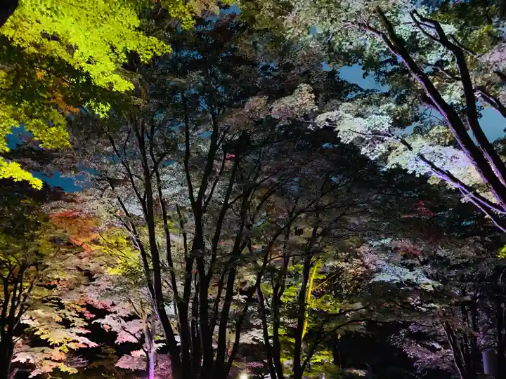 土津神社|こどもと出世の神さまの自然