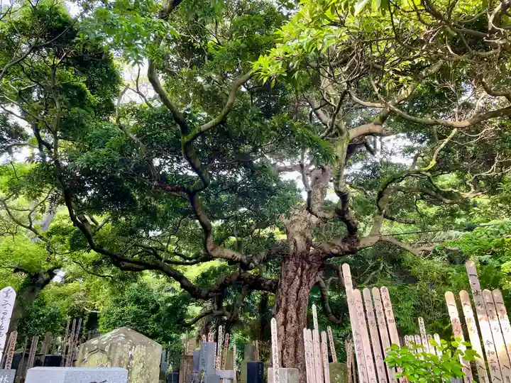 長生院(神奈川県)