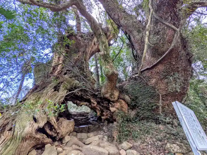 大山祇神社奥の院 生樹の御門(愛媛県)