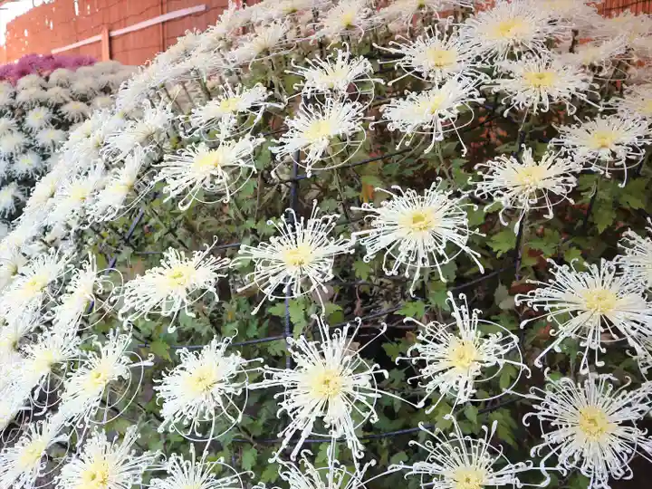 湯島天満宮の芸術