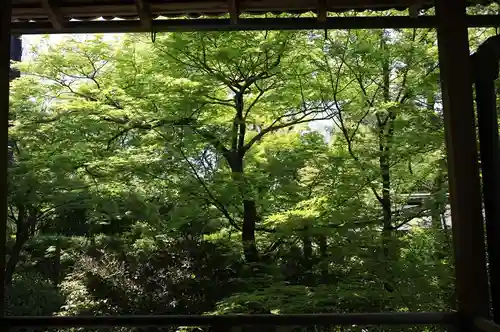 大法院(京都府)