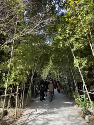 來宮神社(静岡県)