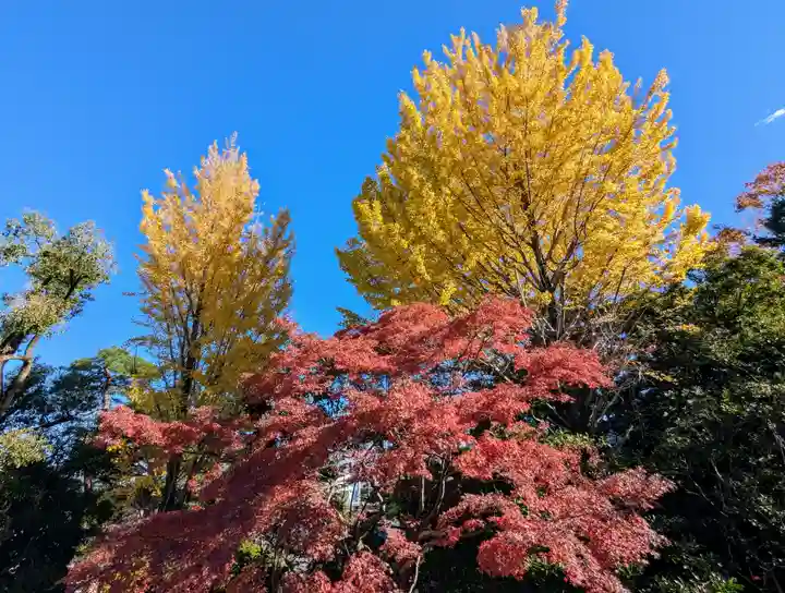 高幡不動尊 金剛寺(東京都)