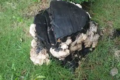 氣比神宮のその他建物