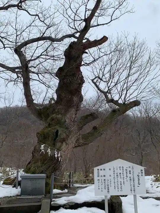 那須温泉神社(栃木県)