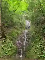 不動教会の自然